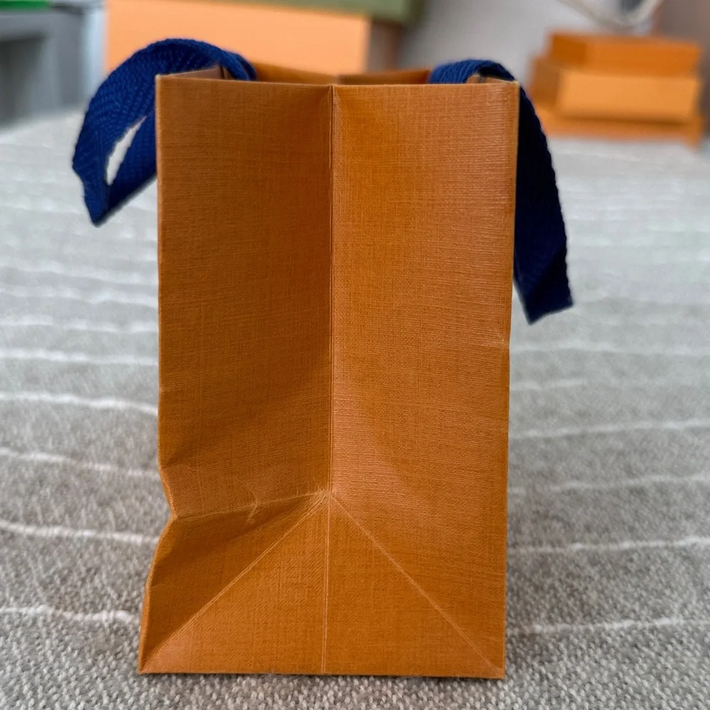 Louis Vuitton small Bag with Navy Handles with card